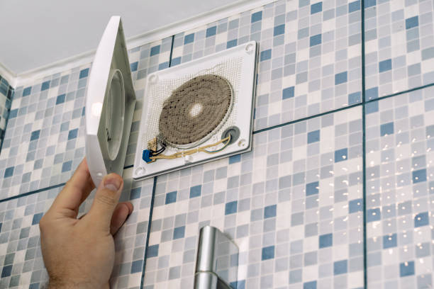 Best Air Duct Mold Removal  in Holmen, WI