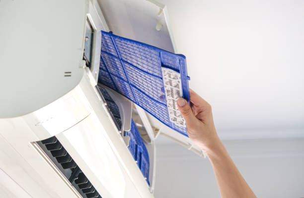 Air Duct Mold Removal in Holmen, WI