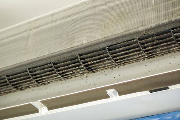 Best Local Air Duct Cleaning Services  in Holmen, WI